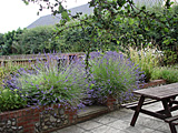 Partial view of Barnett's patio (with table)(for Full view, click)